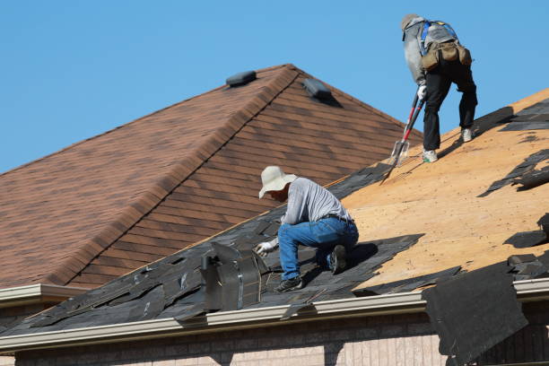 Best Asphalt Shingles Roofing  in Oak Hill, OH